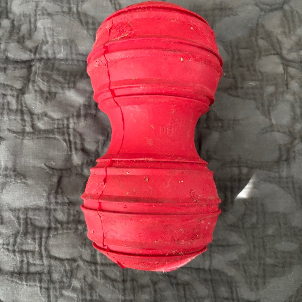 Kong Dental Dog Toy - Large